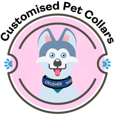 Get Home Safe Collars & Leads