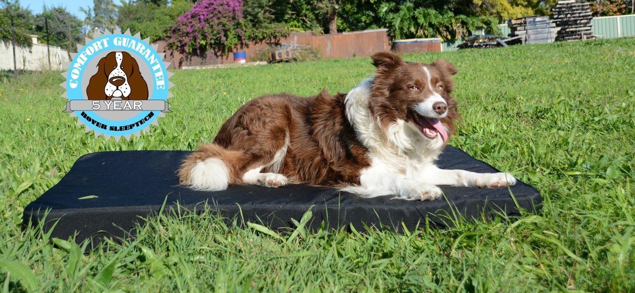 Premium Australian Made Dog Beds