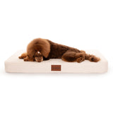 PlushMat! Orthopaedic Dog Bed