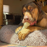 Chew Bone (Power Chewers)