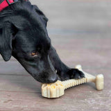 Honeybone Dental Flower Tower - XXL Dog Chew Toy