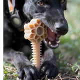 Honeybone Dental Flower Tower - XXL Dog Chew Toy