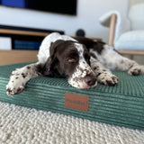 PlushMat! Orthopaedic Dog Bed
