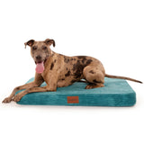 PlushMat! Orthopaedic Dog Bed