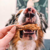 Birdy - Chicken Necks-Dog Treat-Rover Pet Products