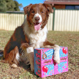Birthday Box!-Rover Pet Products