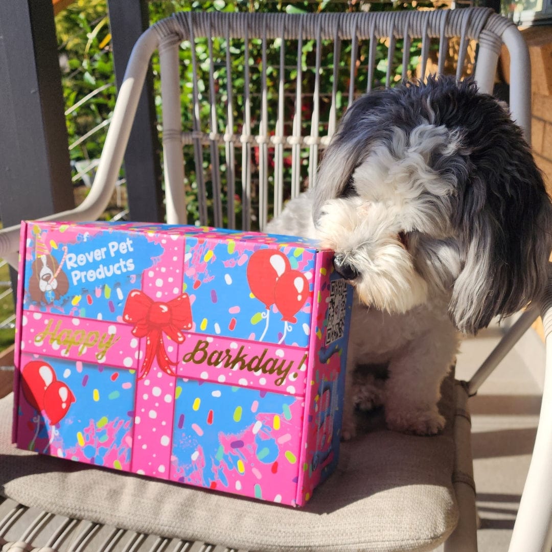 Birthday Box!-Rover Pet Products