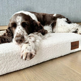 Bouclé PlushMat!-Dog Bed-Rover Pet Products