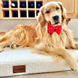 Bouclé PlushMat!-Dog Bed-Rover Pet Products