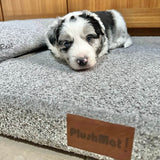 Bouclé PlushMat!-Dog Bed-Rover Pet Products