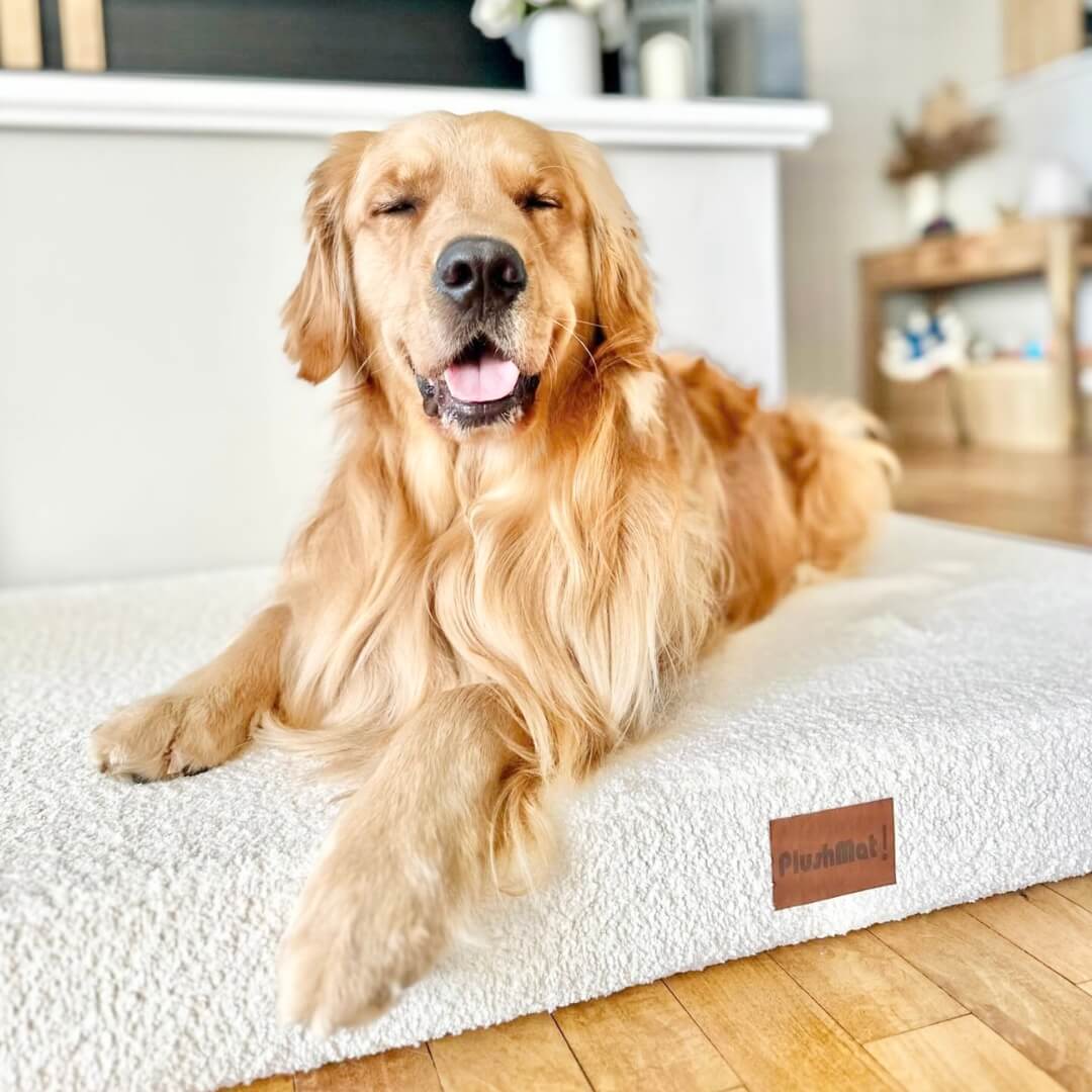 Bouclé PlushMat!-Dog Bed-Rover Pet Products