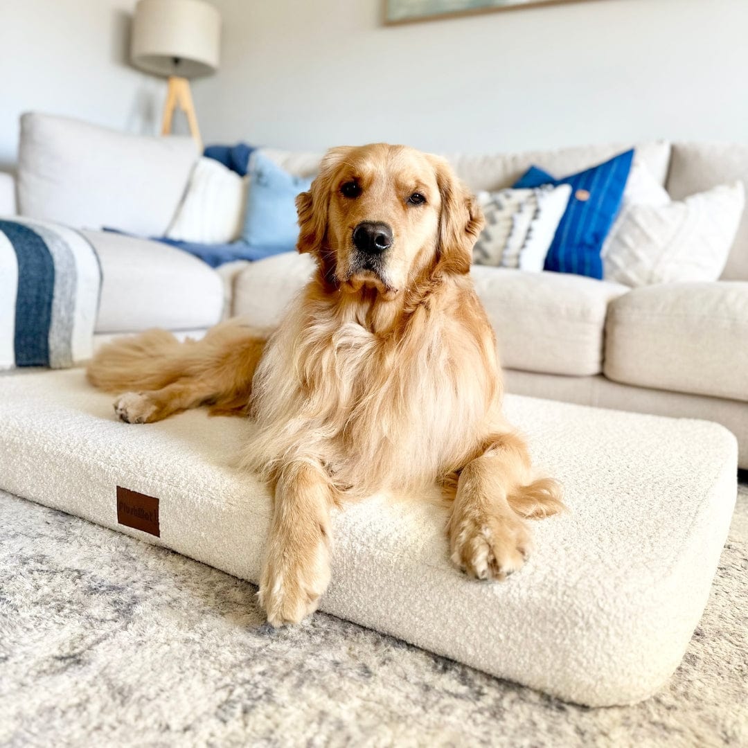 Bouclé PlushMat!-Dog Bed-Rover Pet Products