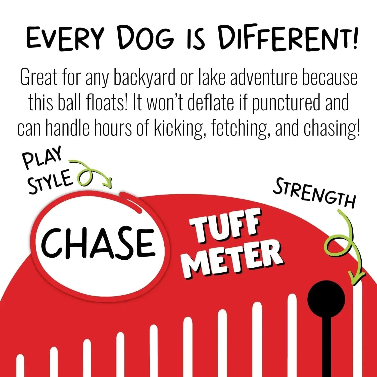 Bounce-N-Play-Rover Pet Products