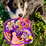 Bullfrog Slowfeeder eTray-Slow Feeder-Rover Pet Products