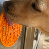 Camp eMat Enrichment Lick Mat-Slow Feeder-Rover Pet Products