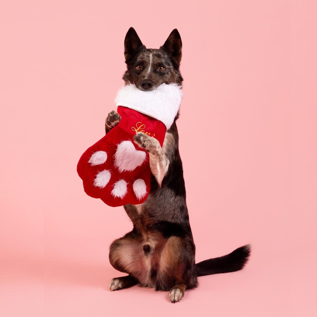 Christmas Stocking-Rover Pet Products