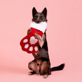 Christmas Stocking-Rover Pet Products