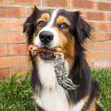 CROC'S LOOSE-Dog Treat-Rover Pet Products