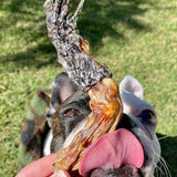 CROC'S LOOSE-Dog Treat-Rover Pet Products