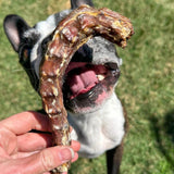 Ducking What? - Duck Necks-Dog Treat-Rover Pet Products