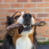 Ducking What? - Duck Necks-Dog Treat-Rover Pet Products