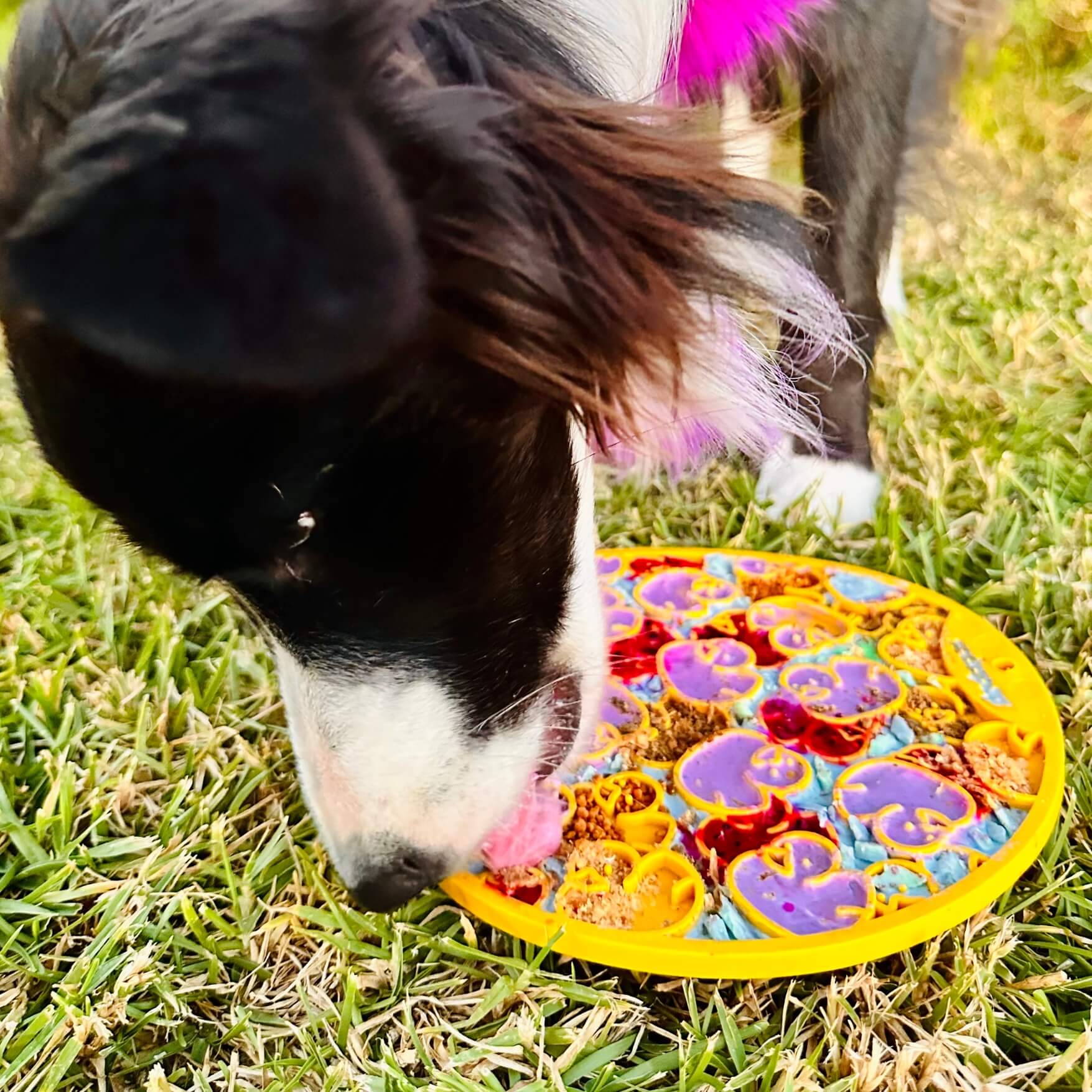 Ducky eMat Enrichment Lick Mat-Slow Feeder-Rover Pet Products