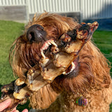 Fairy Tales - Emu Tail 2 Pack-Dog Treat-Rover Pet Products