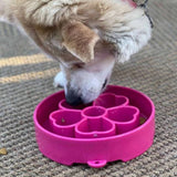 Flower Design eBowl-Slow Feeder-Rover Pet Products