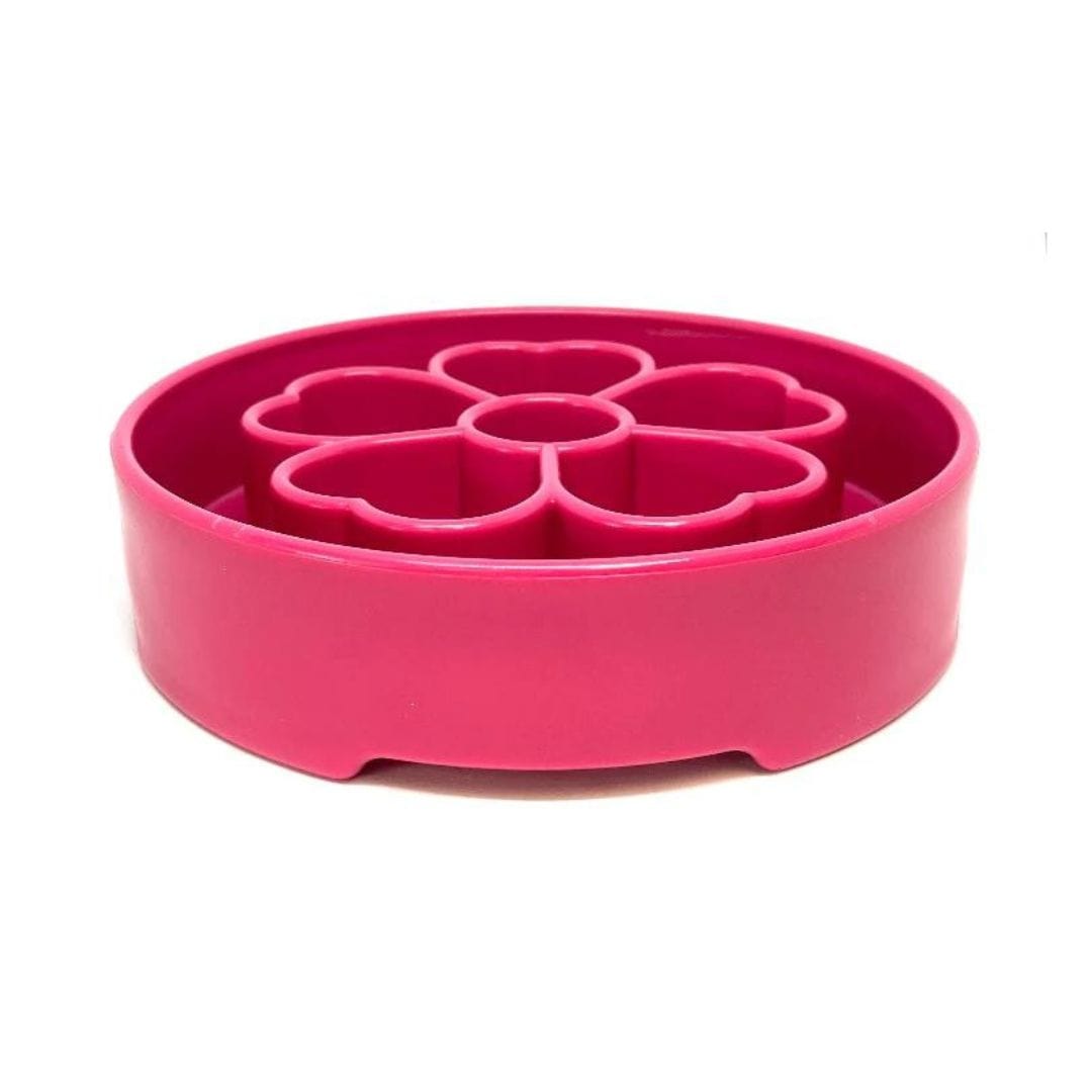 Flower Design eBowl-Slow Feeder-Rover Pet Products