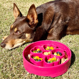 Flower Design eBowl-Slow Feeder-Rover Pet Products