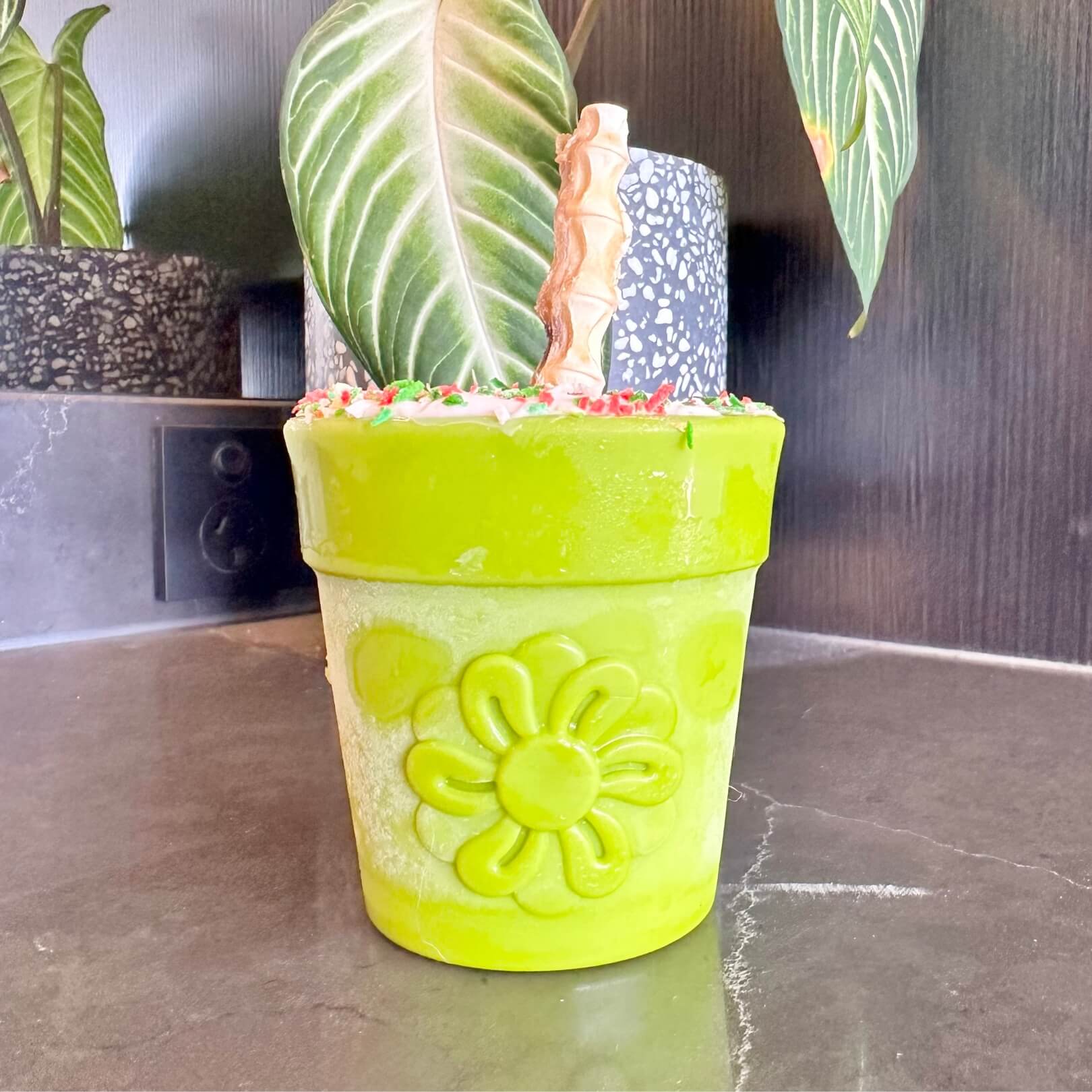 Flower Pot-Dog Toy-Rover Pet Products