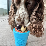 Flower Pot-Dog Toy-Rover Pet Products