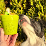 Flower Pot-Dog Toy-Rover Pet Products