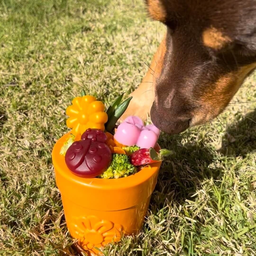 Flower Pot-Dog Toy-Rover Pet Products