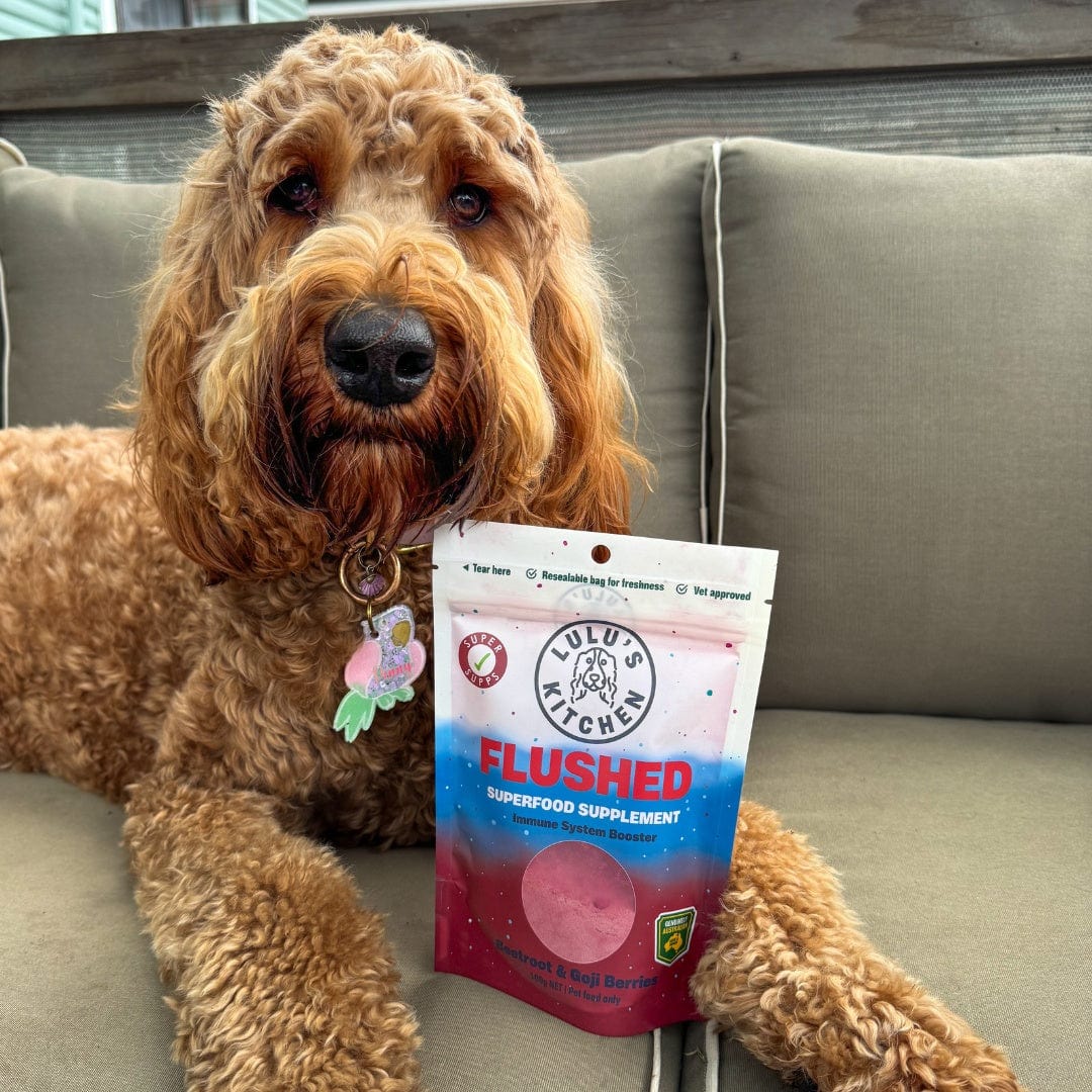 Flushed - Immune System Booster-Rover Pet Products
