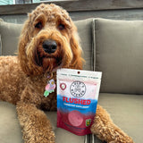 Flushed - Immune System Booster-Rover Pet Products