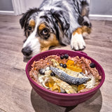 Garden of Eatin' Tipsy Bowl Lick Mat-Slow Feeder-Rover Pet Products