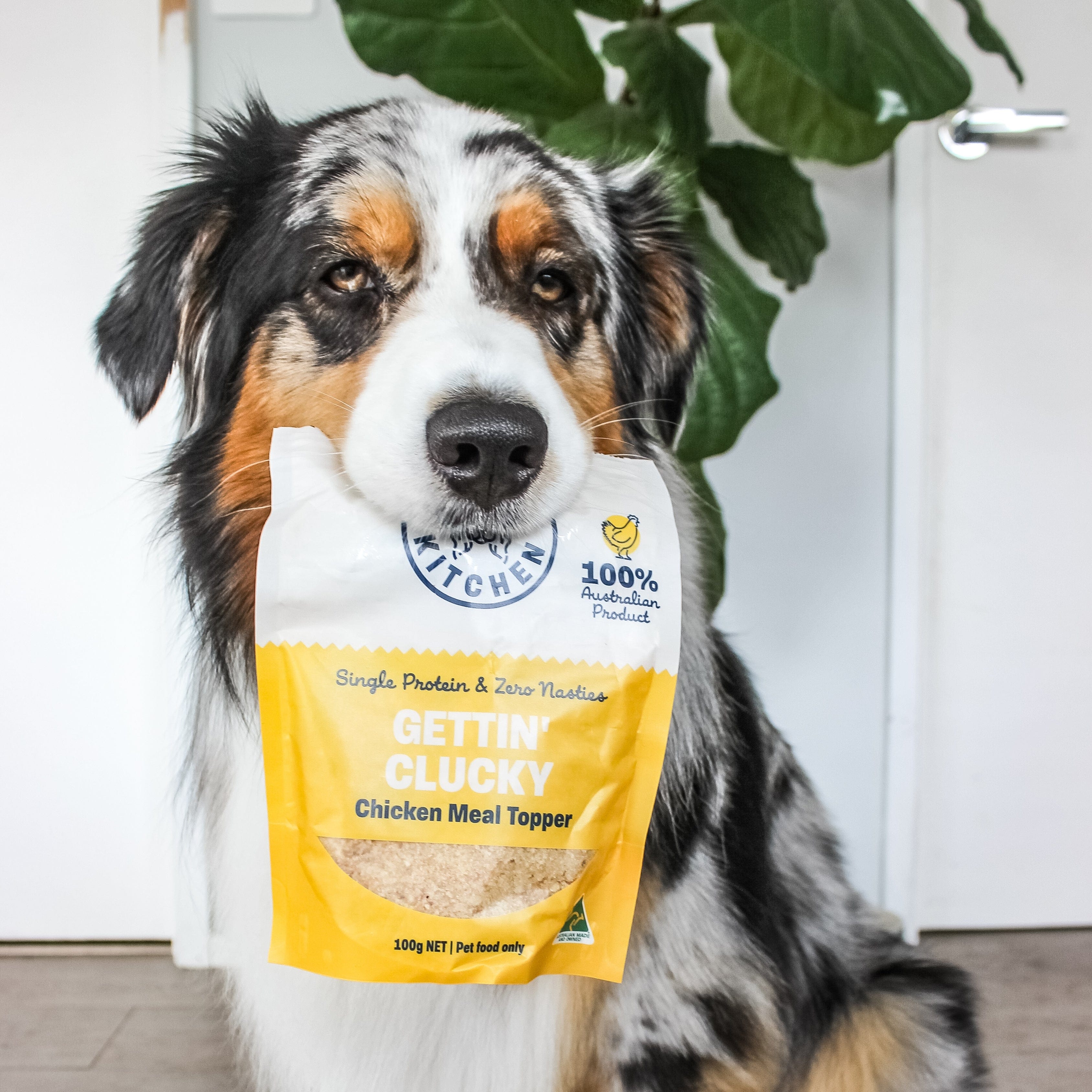 Gettin' Clucky - Chicken Meal Topper-Dog Treat-Rover Pet Products