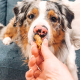 Gettn' Lippy Wit It - Green Lipped Mussels-Dog Treat-Rover Pet Products