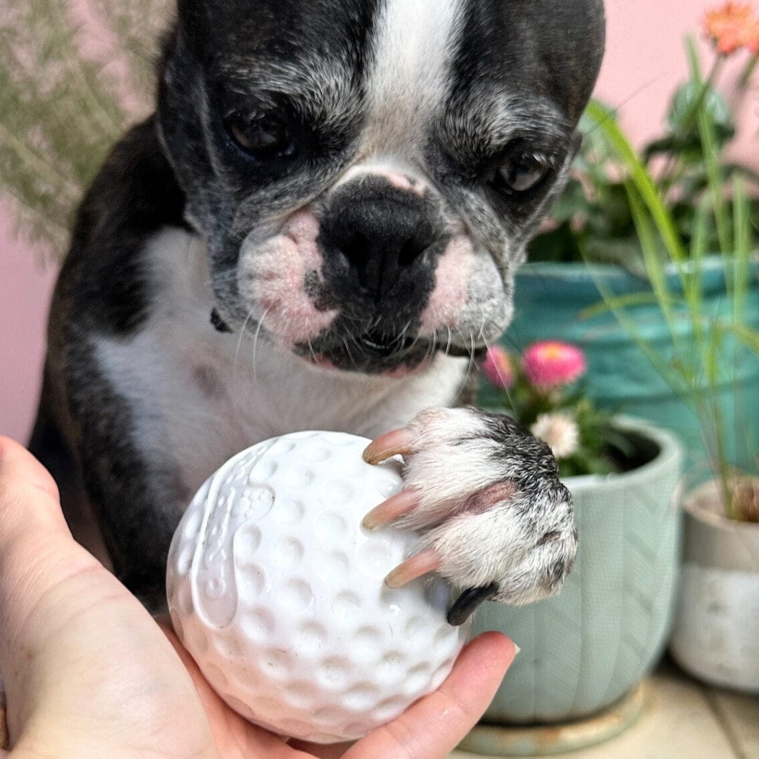 Golf Ball - Chew Toy & Treat Dispenser-Dog Toy-Rover Pet Products