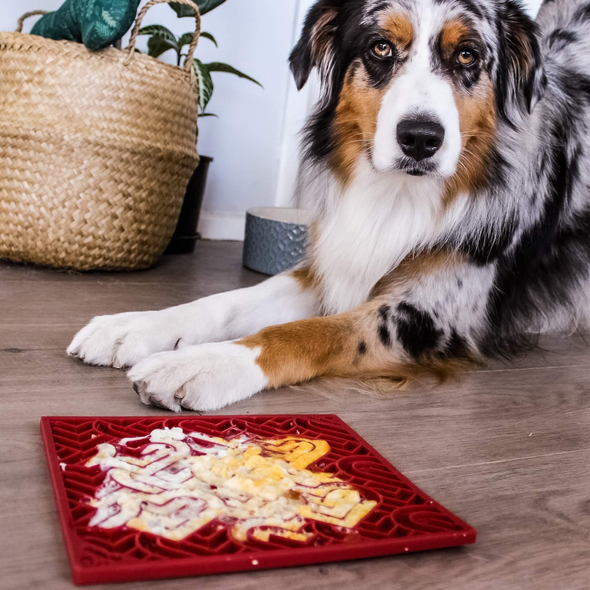 Heart Design "Love" eMat Enrichment Lick Mat-Slow Feeder-Rover Pet Products