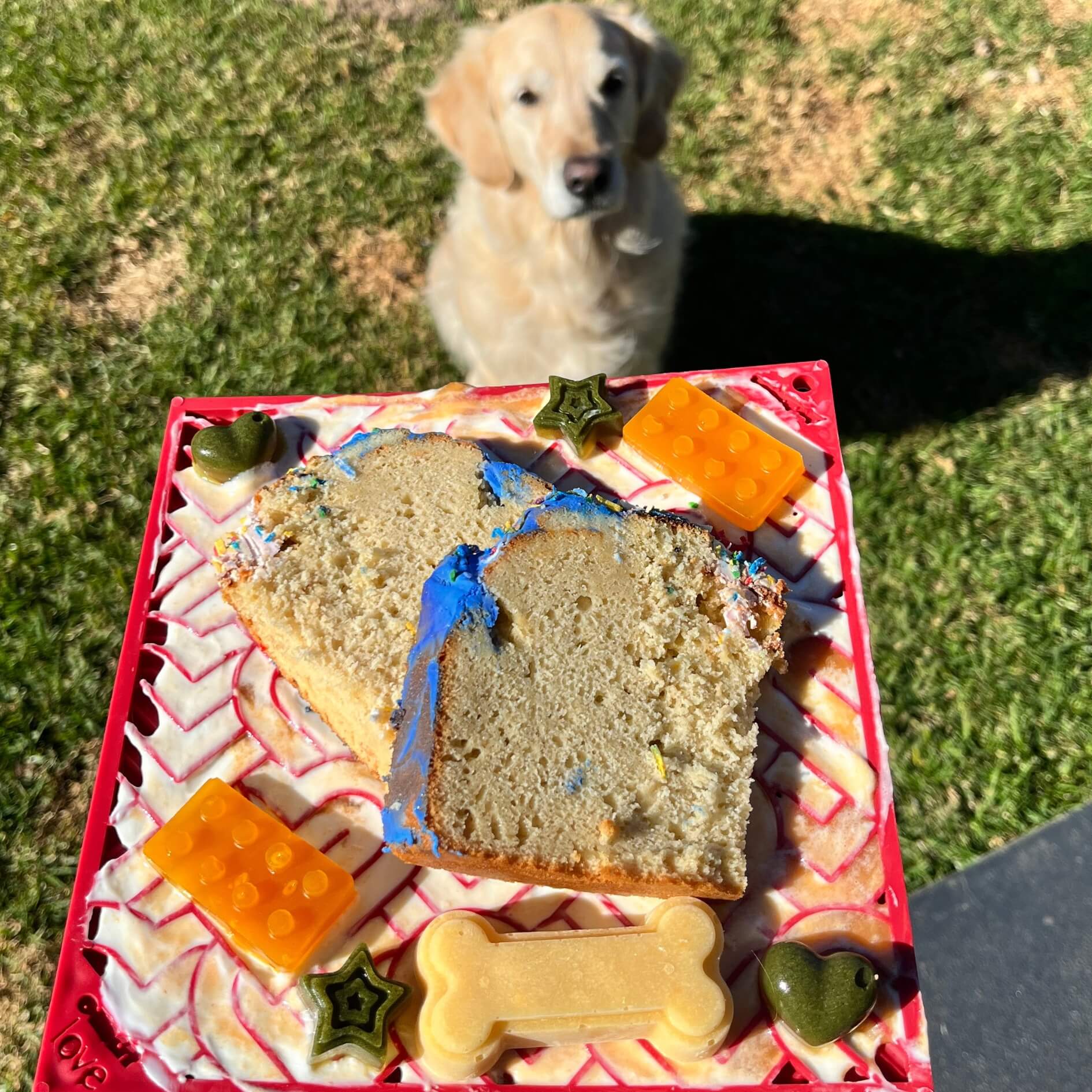 Heart Design "Love" eMat Enrichment Lick Mat-Slow Feeder-Rover Pet Products