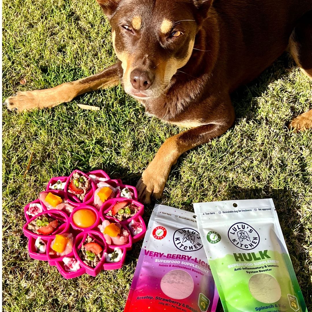 Hulk - Anti-inflammatory & Immune System Booster-Rover Pet Products