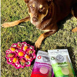 Hulk - Anti-inflammatory & Immune System Booster-Rover Pet Products