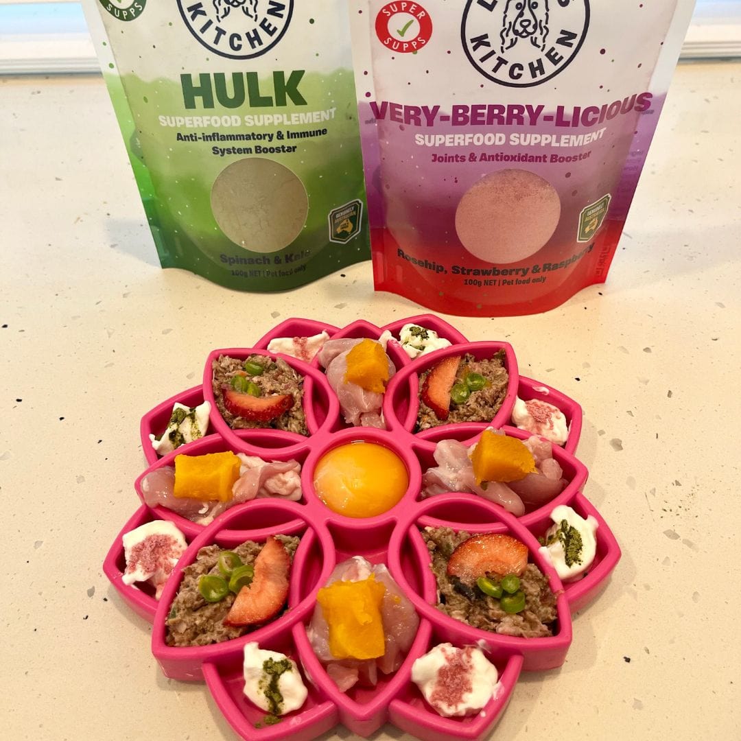 Hulk - Anti-inflammatory & Immune System Booster-Rover Pet Products