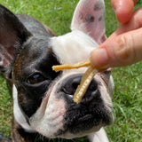 I FIS#*D UP - Lean Fish Jerky-Dog Treat-Rover Pet Products