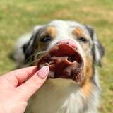 In the Trough - Pork Snouts-Dog Treat-Rover Pet Products