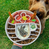 Java Design eBowl-Slow Feeder-Rover Pet Products
