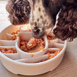 Java Design eBowl-Slow Feeder-Rover Pet Products