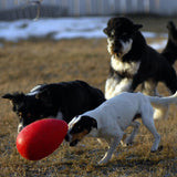 Jolly Egg-Rover Pet Products